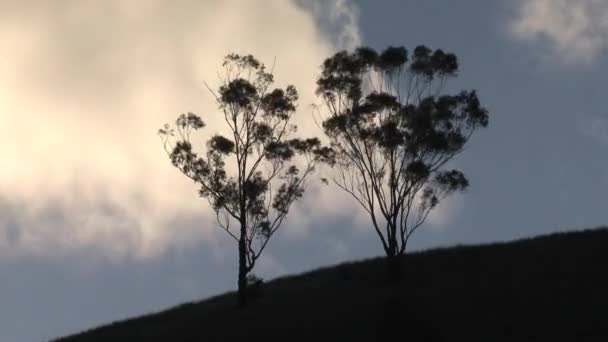 Time Lapse Paesaggio Australiano Nell Outback Australia — Video Stock