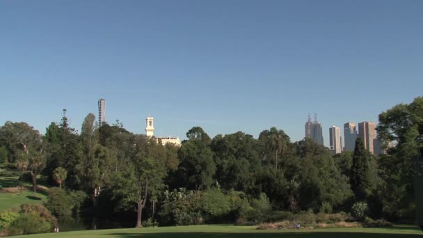Avustralya Melbourne City — Stok video