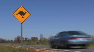 Bir kanguru kavşağı tabela arabası geçiyor.