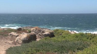 Kanguru Adası Sahili, Kanguru Adası