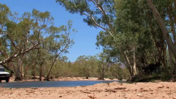 Napęd Cztery Koła Przejeżdżający Przez Wodę Pustkowiu Australii — Wideo stockowe