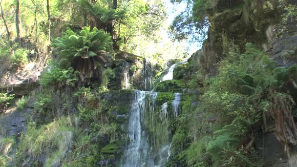 Водопад Great Ocean Road Виктория Австралия — стоковое видео