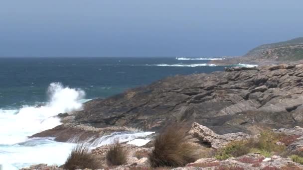 Coast Kangaroo Island Australië — Stockvideo