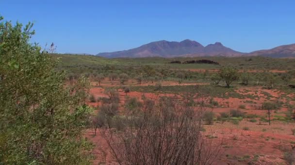Macdonnell Ranges Australische Outback — Stockvideo