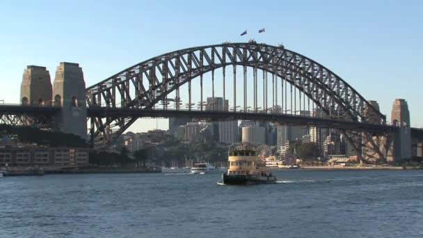 Sydney Harbour Bridge Australia — Wideo stockowe