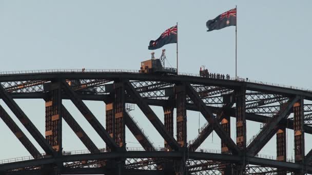 Drapeaux Australiens Pont Port Sydney — Video