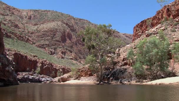Macdonnell Ranges Australijskie Pustkowie — Wideo stockowe