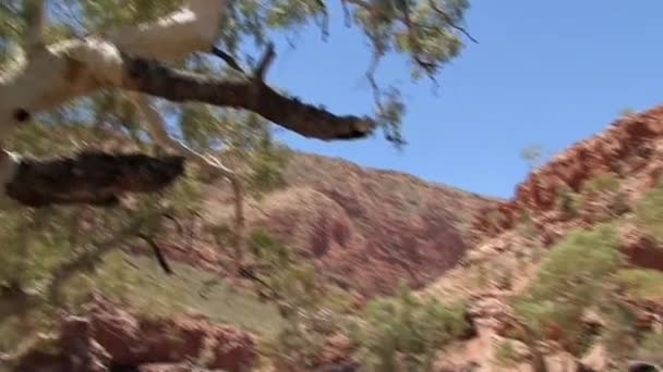 Macdonnell Sıradağları Avustralya Taşrası — Stok video