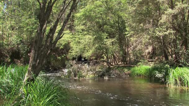 Rivière aux Dandenong, Australie