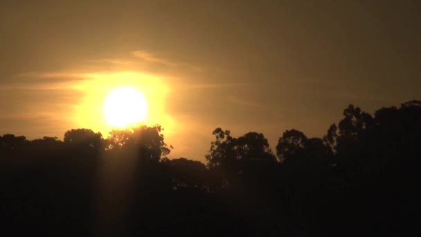 Coucher Soleil Timelapse Gammes Dandenong Australie — Video