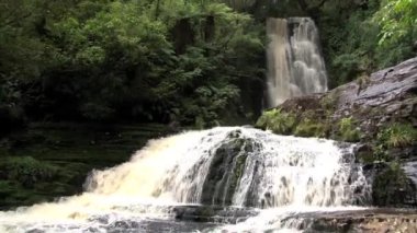 Catlins, Güney Adası, Yeni Zelanda