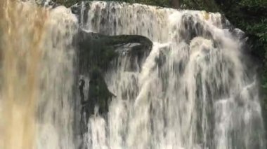 Catlins, Güney Adası, Yeni Zelanda