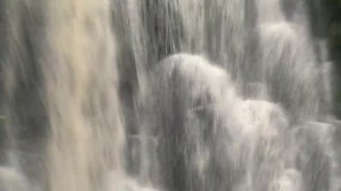 Catlins, Güney Adası, Yeni Zelanda