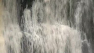 Catlins, Güney Adası, Yeni Zelanda