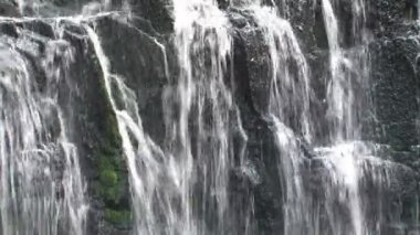 Yeni Zelanda 'nın güneyindeki Catlins Koruma Parkı' nda Şelale