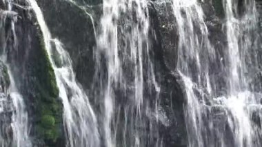 Catlins, Güney Adası, Yeni Zelanda