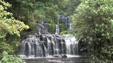 Catlins, Güney Adası, Yeni Zelanda