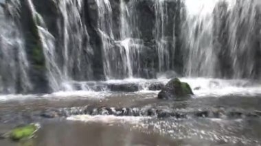 Catlins, Güney Adası, Yeni Zelanda
