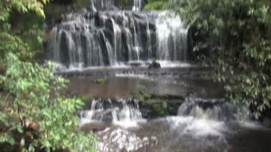 Catlins, Güney Adası, Yeni Zelanda