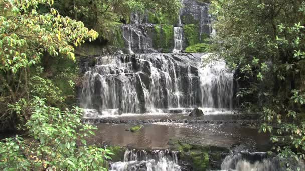 Catlins Zuidelijk Eiland Nieuw Zeeland — Stockvideo