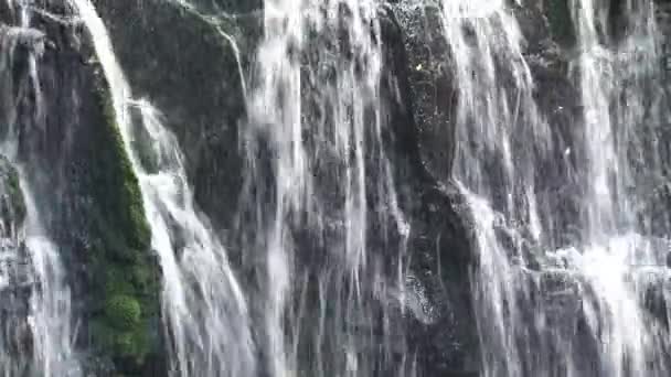 Catlins Isla Del Sur Nueva Zelanda — Vídeos de Stock