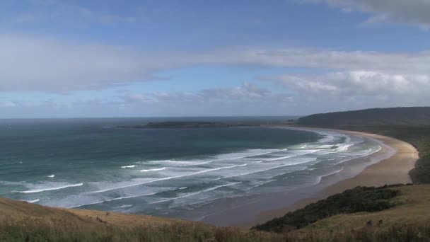 Catlins Isola Meridionale Nuova Zelanda — Video Stock