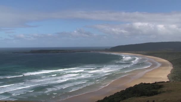 Catlins Södra Nya Zeeland — Stockvideo