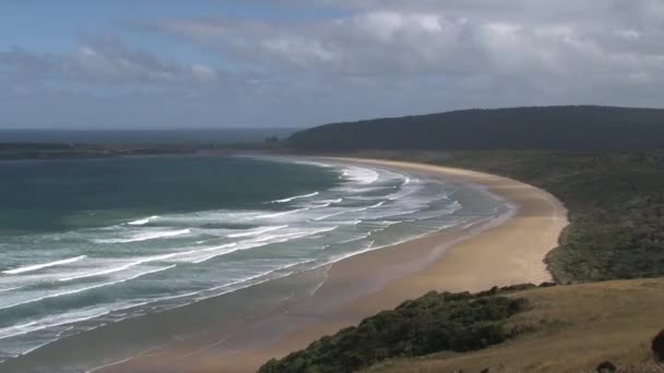 Catlins Southern Island New Zealand — Stock Video