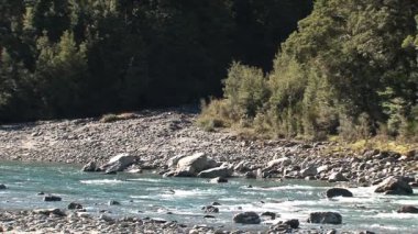 Mavi Havuzlar, Yeni Zelanda