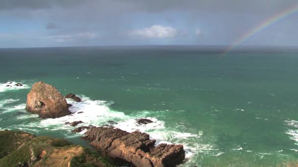 Nugget Point Catlins New Zealand — Stock Video