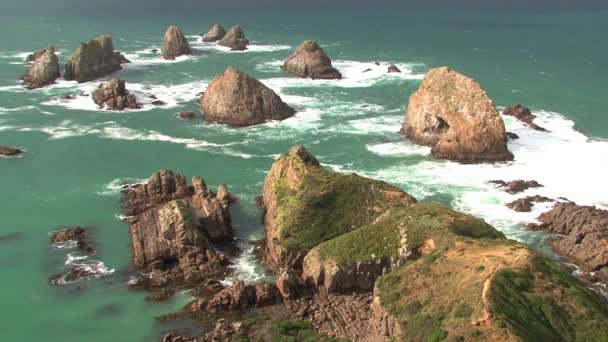 Nugget Point Bei Den Catlins Neuseeland — Stockvideo