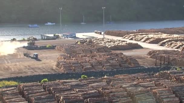 Zdjęcie Zoomu Transportu Drewna Nowa Zelandia — Wideo stockowe