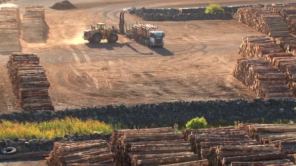 新西兰皮克顿的木材运输 — 图库视频影像