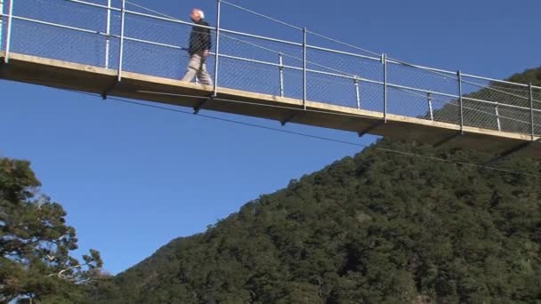 Piscinas Azuis Nova Zelândia — Vídeo de Stock