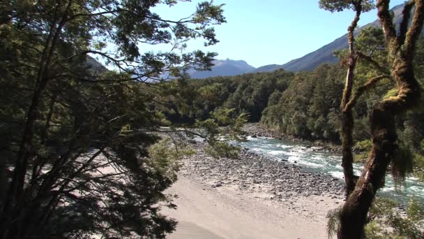 Blue Pools Новая Зеландия — стоковое видео