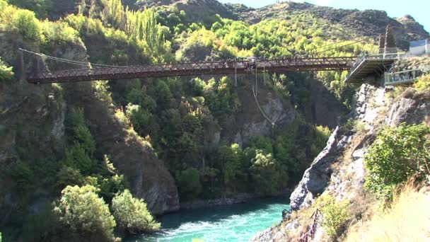 Bungy Jumping Queenstown New Zealand — Stock Video
