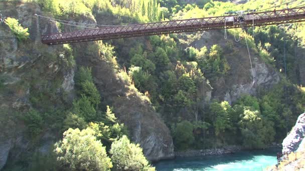 Bungy Jumping Queenstown New Zealand — Stock Video