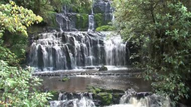 Catlins, Güney Adası, Yeni Zelanda