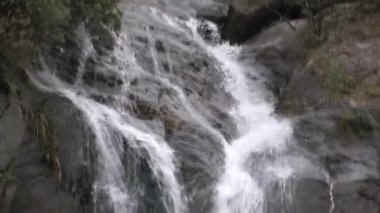 Franz Jozef Buzul Güney Adası, Yeni Zelanda