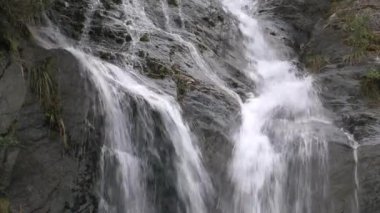 Franz Jozef Buzul Güney Adası, Yeni Zelanda