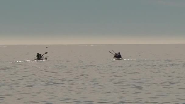 Canoë Baie Nouvelle Zélande — Video