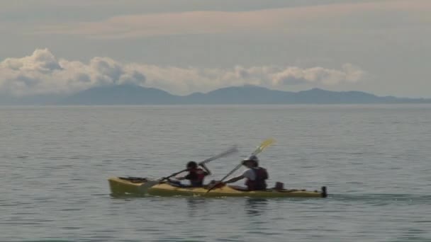 Каноэ Золотом Заливе Новая Зеландия — стоковое видео