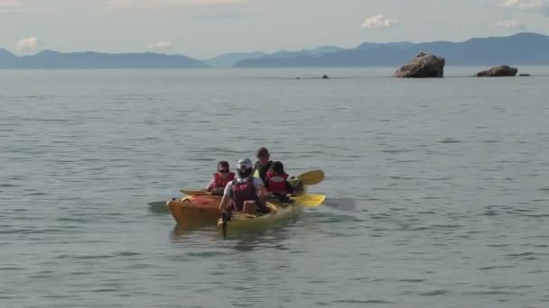 Piragüismo Bahía Oro Nueva Zelanda — Vídeo de stock