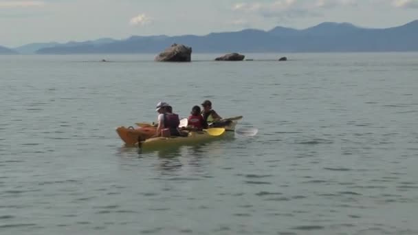 Canoa Nella Baia Oro Nuova Zelanda — Video Stock