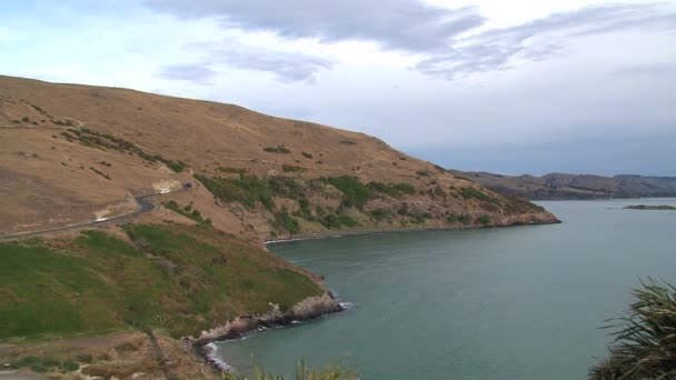 Street City Dunedin New Zealand — Stock Video