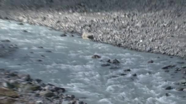 Fox Παγετώνες Νότιο Νησί Νέα Ζηλανδία — Αρχείο Βίντεο