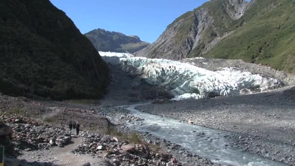 Fox Buzulları Güney Adası Yeni Zelanda — Stok video