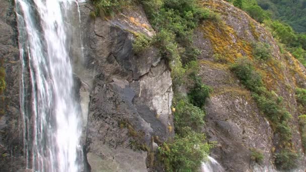 Franz Jozef Glacier Île Sud Nouvelle Zélande — Video