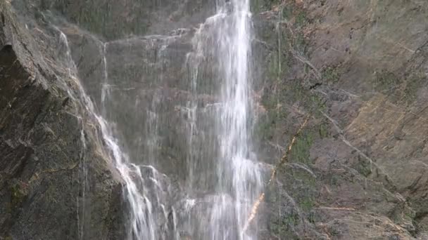 Franz Jozef Glacier Île Sud Nouvelle Zélande — Video