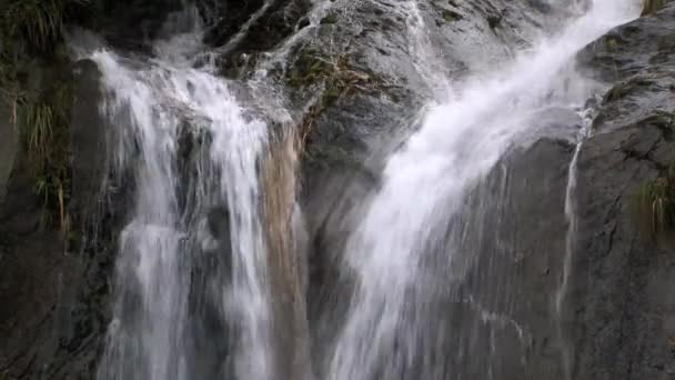 Franz Jozef Glacier Zuidelijk Eiland Nieuw Zeeland — Stockvideo